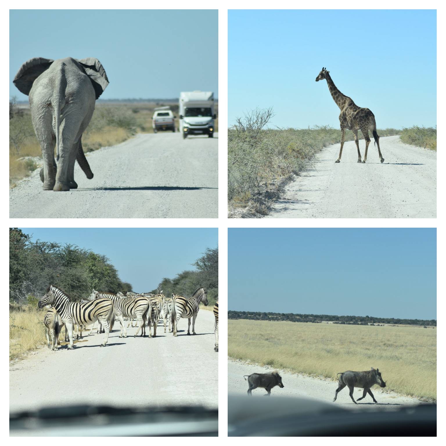 Namibia Self Drive Safari - Tips and Advice 