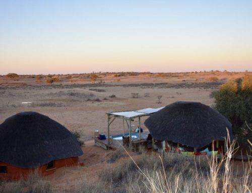 Namibia Desert Hike: Trans Kalahari Walk at Red Dunes Lodge