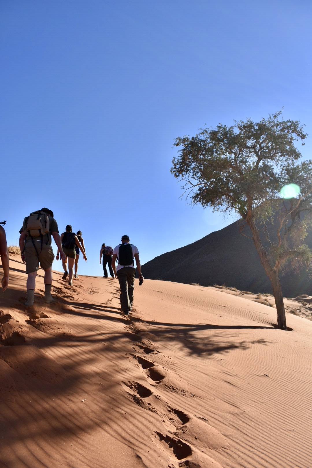 Tok Tokkie Trails NamibRand Nature Reserve Namibia