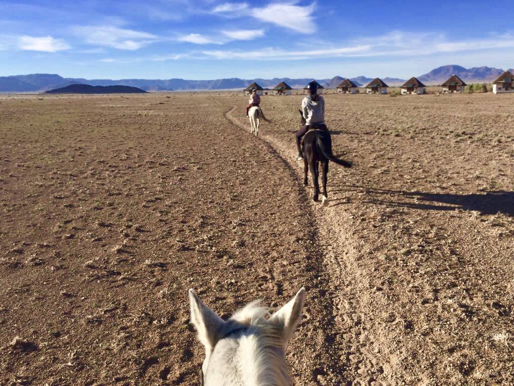 Horse riding at Desert Homestead Lodge Sossusvlei Namibia