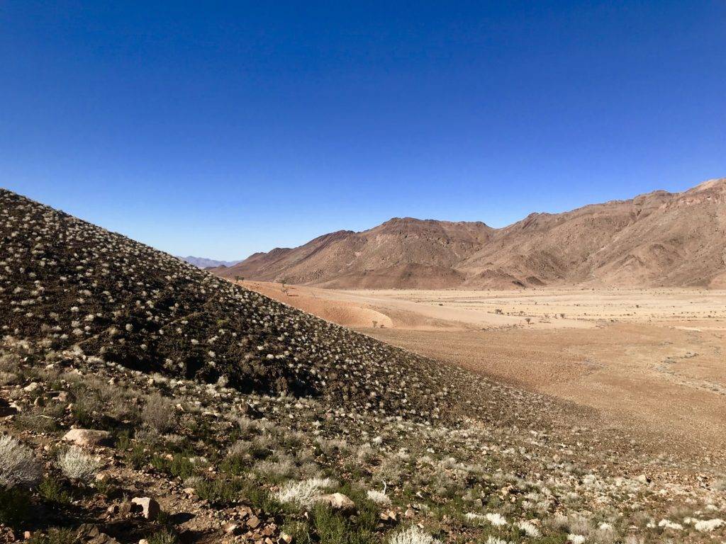 Tok tokkie Trails Namibia - NamibRand desert landscape
