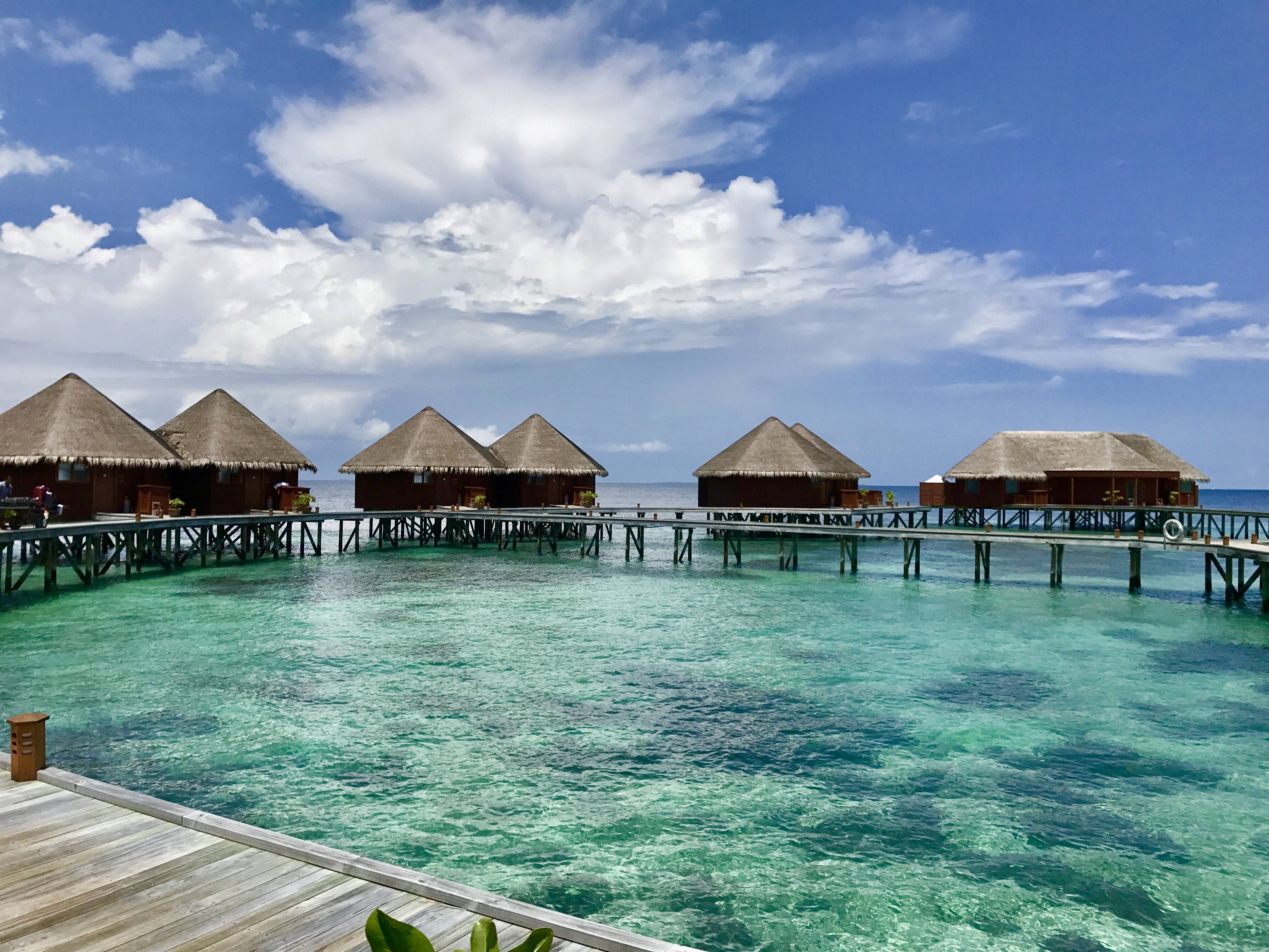 Maldives Island Hotels; Maldives Spotlight: Mirihi Island Resort - The Adventurous Flashpacker