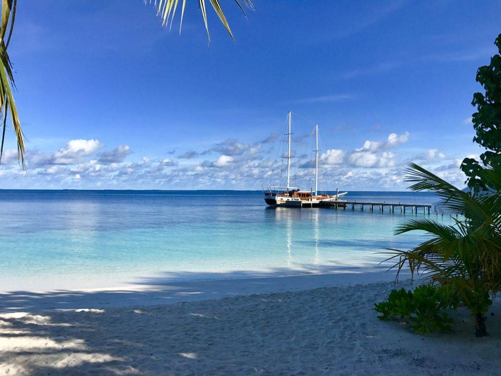 Mirihi Island Resort Maldives house yacht for whale shark excursion