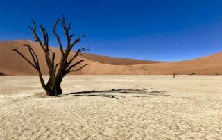 Namibia Travel Tips - Your Namibia Safari Starts Here!