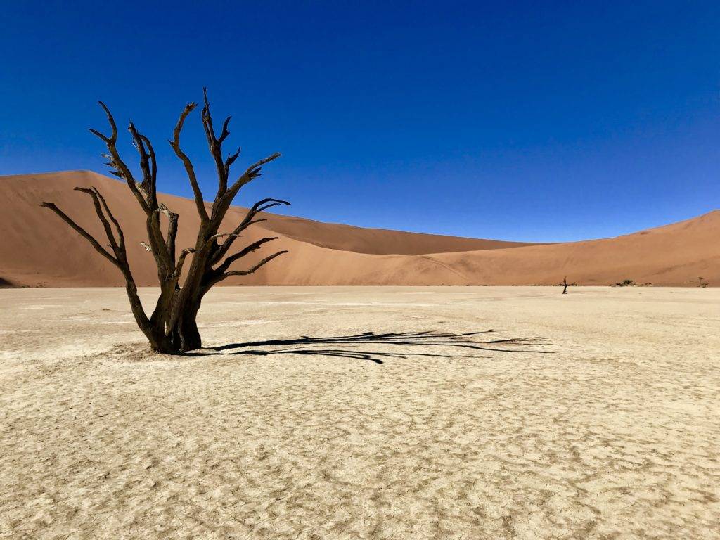 Namibia itinerary - Sossusvlei and Deadvlei