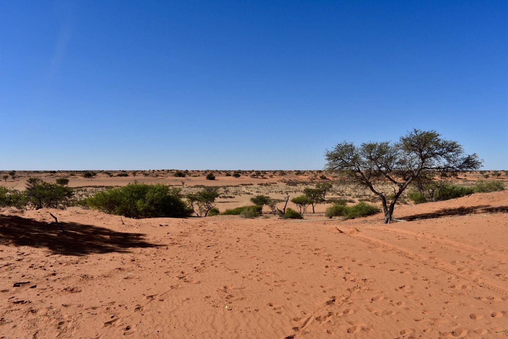 Namibia Trans-Kalahari Walk - Kalahari Red Dunes Lodge