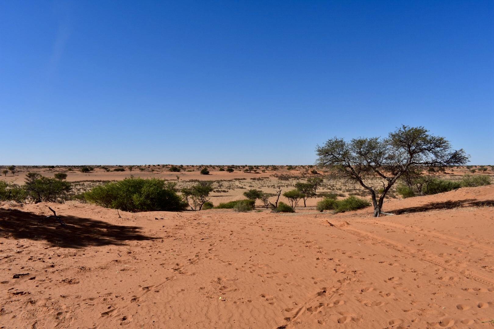 Trans Kalahari Walk Namibia