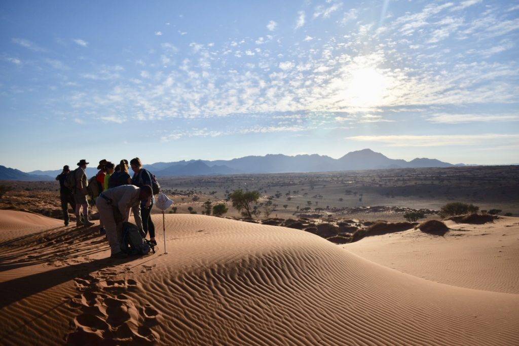 Tok Tokkie Trails Namibia - Sanddunes