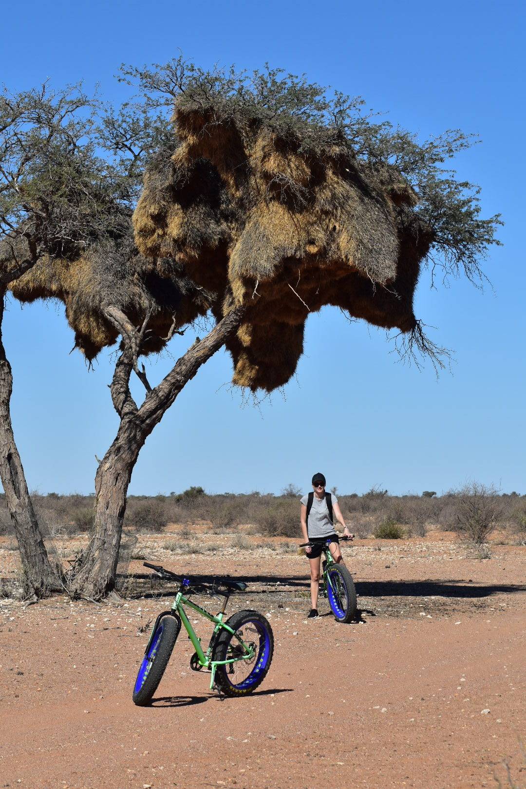 Kalahari Red Dunes Lodge Namibia - Cycle trails