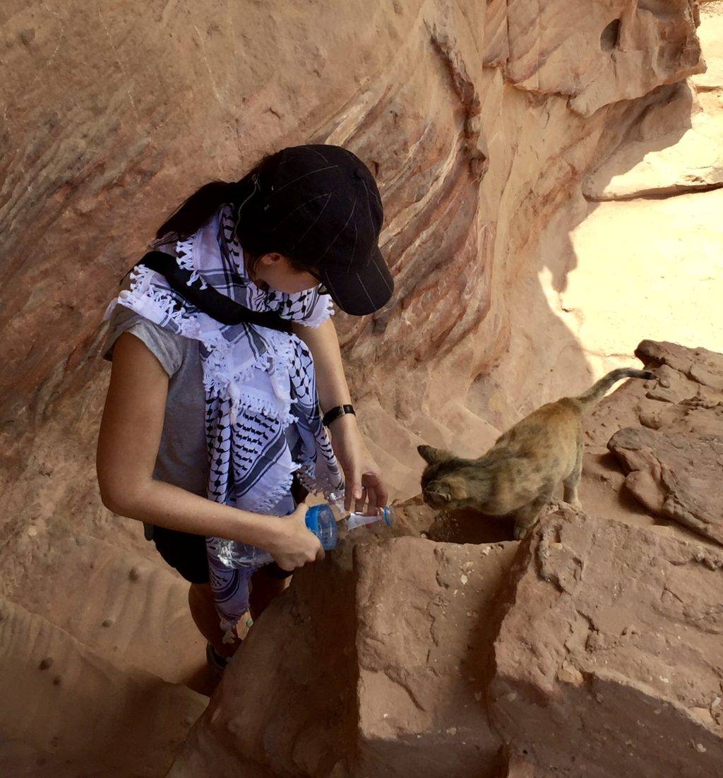 Cats in Petra Jordan