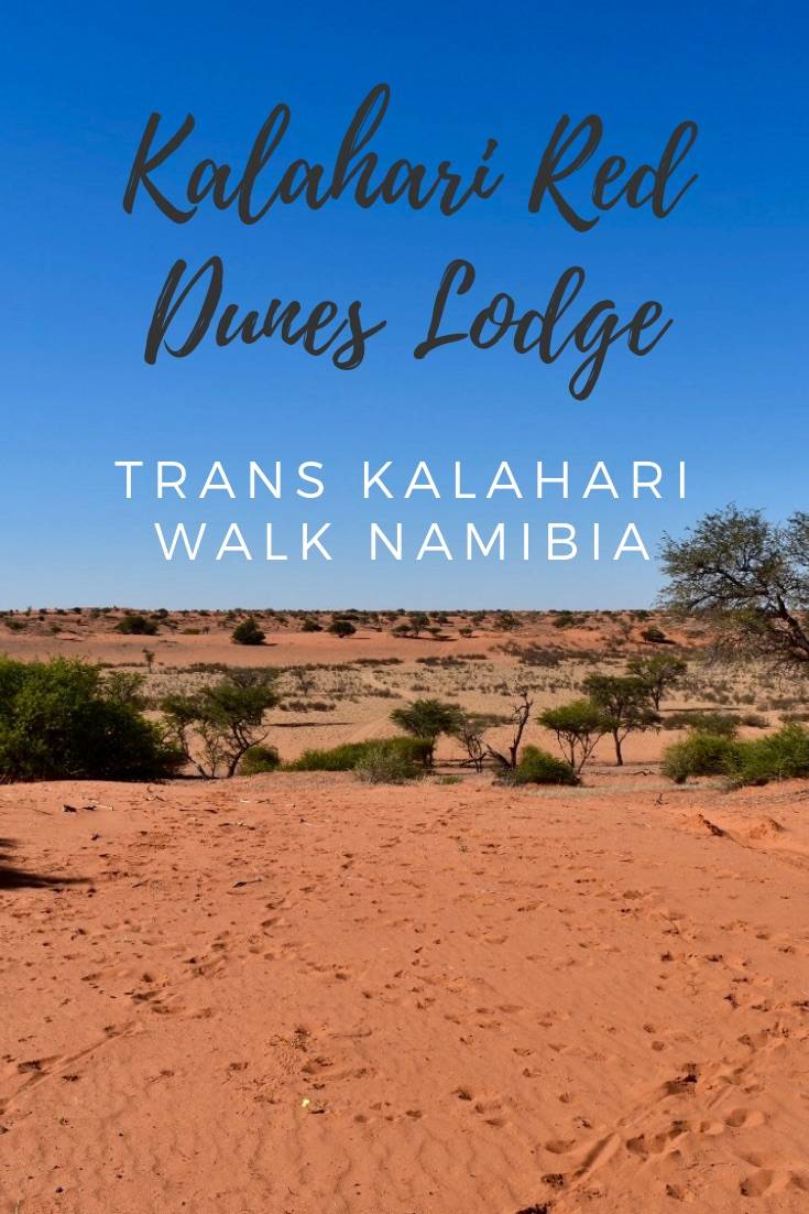 Trans Kalahari Walk Namibia | Keen to for an incredible hike in the Namibia desert with glamping comforts? Check out the Trans Kalahari Walk at the Kalahari Red Dunes Lodge in Namibia. The perfect 2 day trek in the Kalahari Desert for beginner hikers!