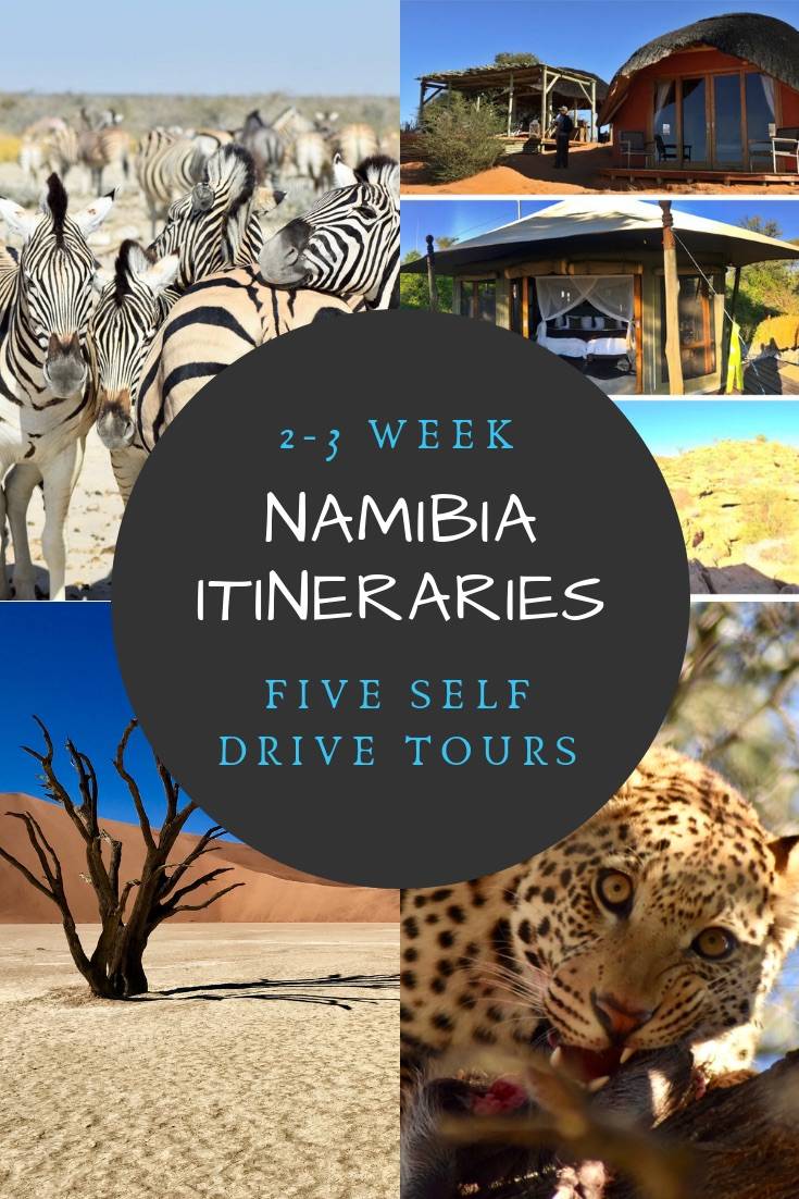 Namibia Self Drive Safari Itinerary | Planning a Namibia itinerary for your Namibia safari is so much fun, but can be overwhelming. Read this guide for five Namibia itineraries that are perfect for 2 or 3 weeks in Namibia, but can also be tailored for 10 days in Namibia or one month in Namibia. The perfect self drive Namibia safari includes wildlife, deserts and the coast!