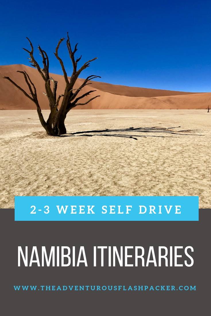 Namibia Self Drive Safari Itinerary | Planning a Namibia itinerary for your Namibia safari is so much fun, but can be overwhelming. Read this guide for five Namibia itineraries that are perfect for 2 or 3 weeks in Namibia, but can also be tailored for 10 days in Namibia or one month in Namibia. The perfect self drive Namibia safari includes wildlife, deserts and the coast!