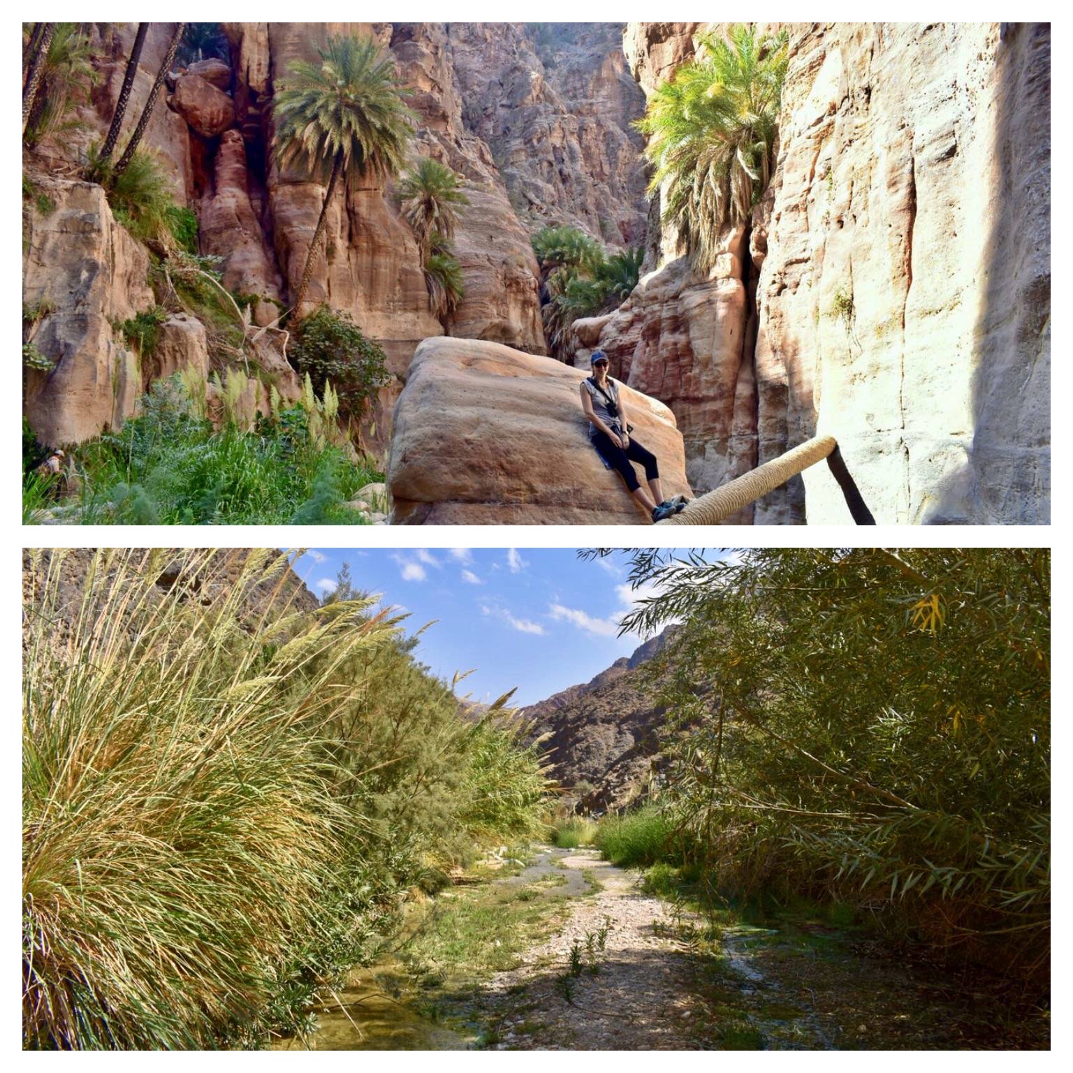 Dana Biosphere Reserve Jordan - Wadi Ghuweir Hike