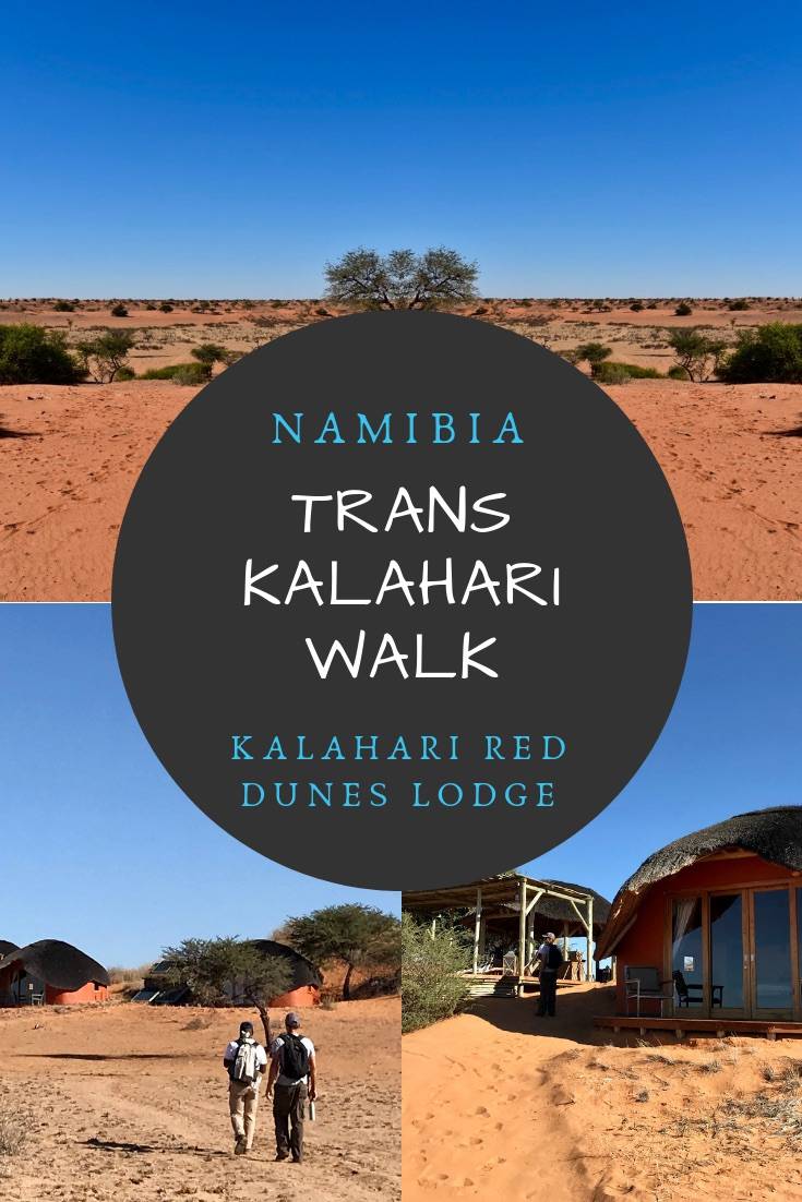 Trans Kalahari Walk Namibia | Keen to for an incredible hike in the Namibia desert with glamping comforts? Check out the Trans Kalahari Walk at the Kalahari Red Dunes Lodge in Namibia. The perfect 2 day trek in the Kalahari Desert for beginner hikers!