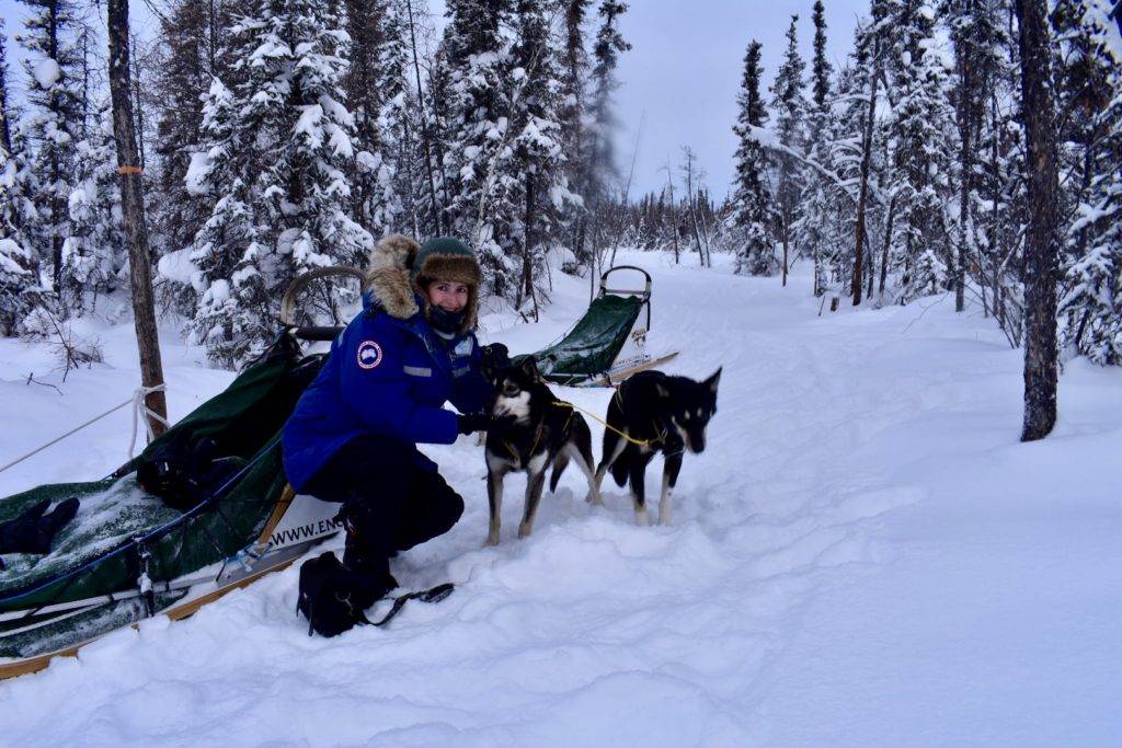 Yellowknife Canada Travel Guide - Dog sledding