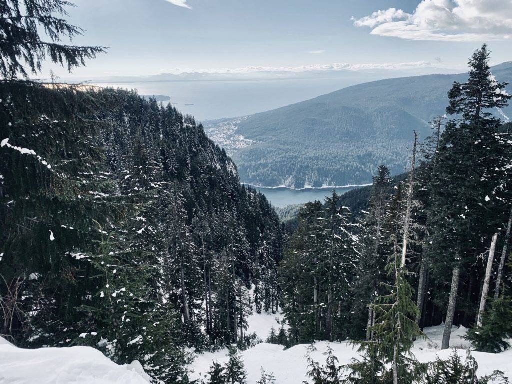 Views over Vancouver from Grouse Mountain Snowshoe Grind Trail