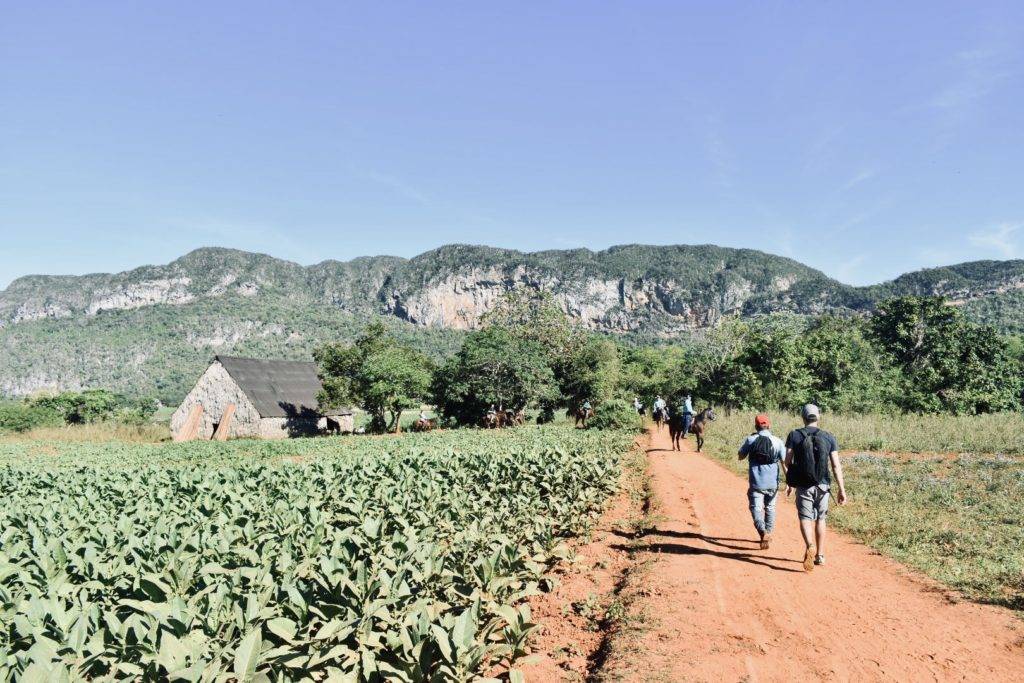 Horse riding and walking tours in Valle de Vinales (Vinales Valley) Cuba