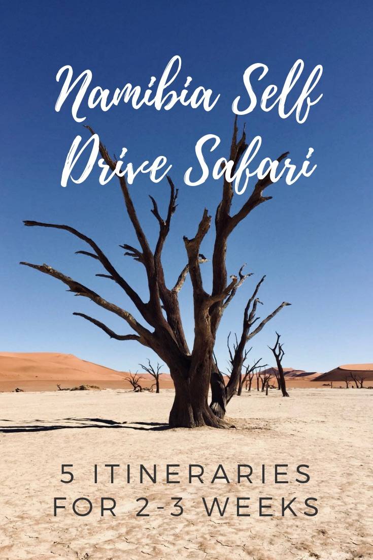 Namibia Self Drive Safari Itinerary | 5 Namibia Itinerary ideas for the perfect self drive Namibia safari. Ideal for 10 days in Namibia to 3 weeks in Namibia. Wildlife, deserts, hiking, adventure activities and more! #namibia #namibiaselfdrive #namibiaitinerary #safari #namibiasafari