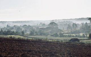 Morning mist in Vinales Valley Cuba