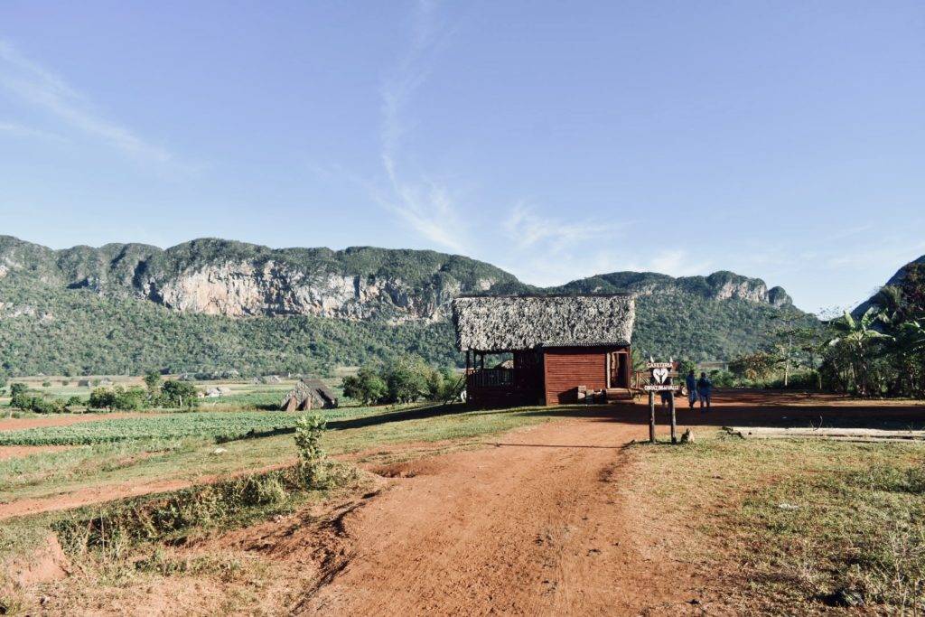 Cafeteria Corazon de Valle tobacco and coffee plantation, VInales Cuba