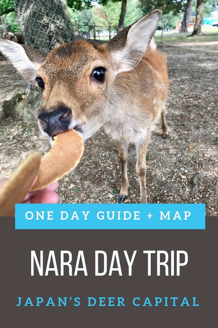 Day Trip to Nara | Visit Nara from Osaka or Kyoto. Follow this Nara itinerary and Nara walking tour to make friends with the local deer, visit the best Nara temples, and even go sake tasting. #Narajapan #Japantravel