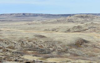 Grasslands National Park Ecotour Scenic Drive Stop 2 Views