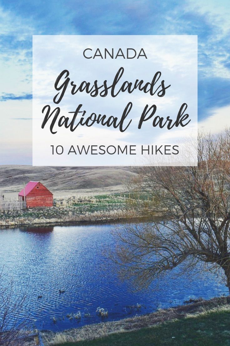 Grasslands National Park Saskatchewan Canada | Grasslands National Park travel guide, including Grasslands National Park hikes, accommodation, weather, and scenic drives. Discover the only Canadian national park to represent the prairie grasslands! #canadatravel #canadanationalpark #hiking