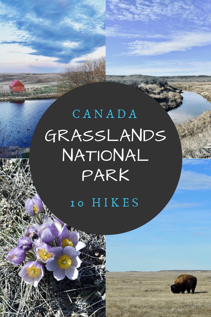 Grassland National Park | Grasslands National Park is a stunning prairie habitat in Saskatchewan Canada. Discover 10 awesome Grasslands National Park hiking trails, along with the best places to stay, travel tips, climate and more! #canada #nationalparks #canadahikes