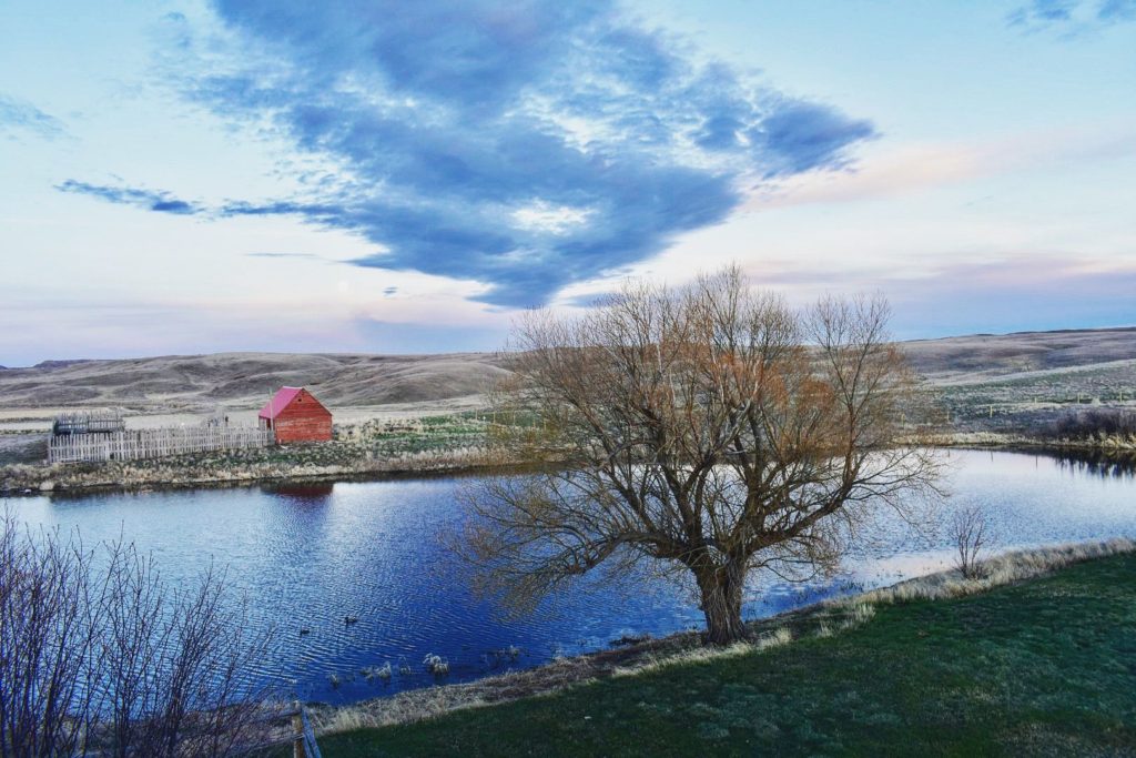 The Crossing at Grasslands - View from room