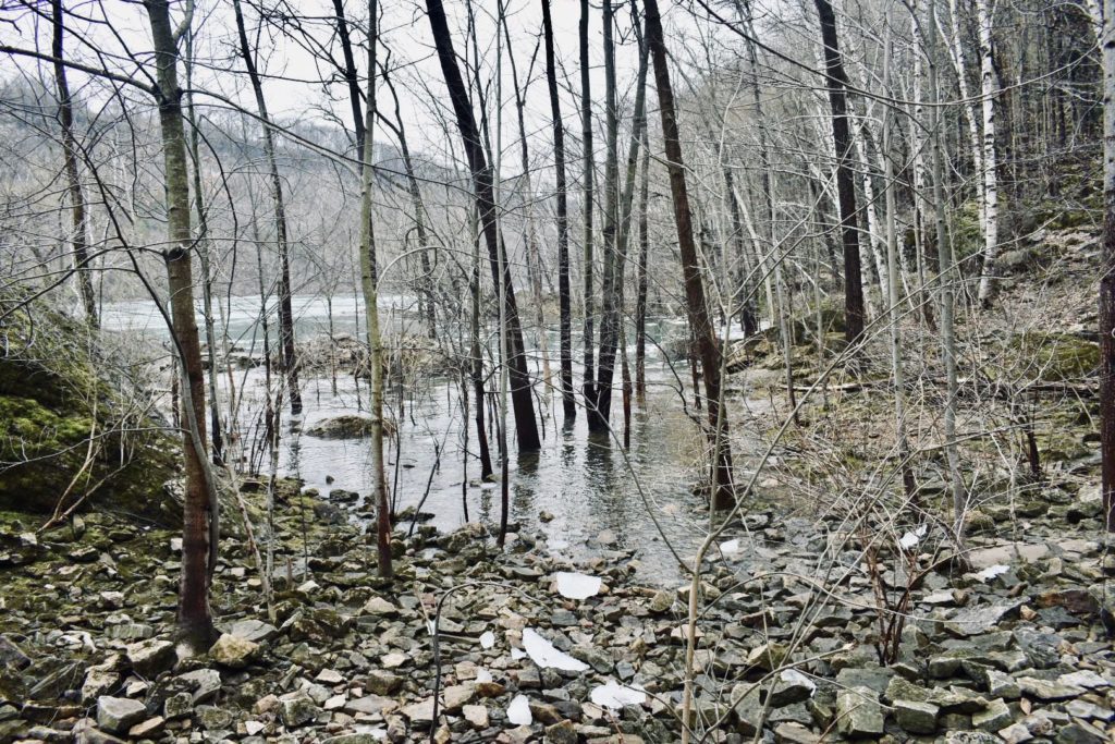 Niagara Glen Nature Reserve