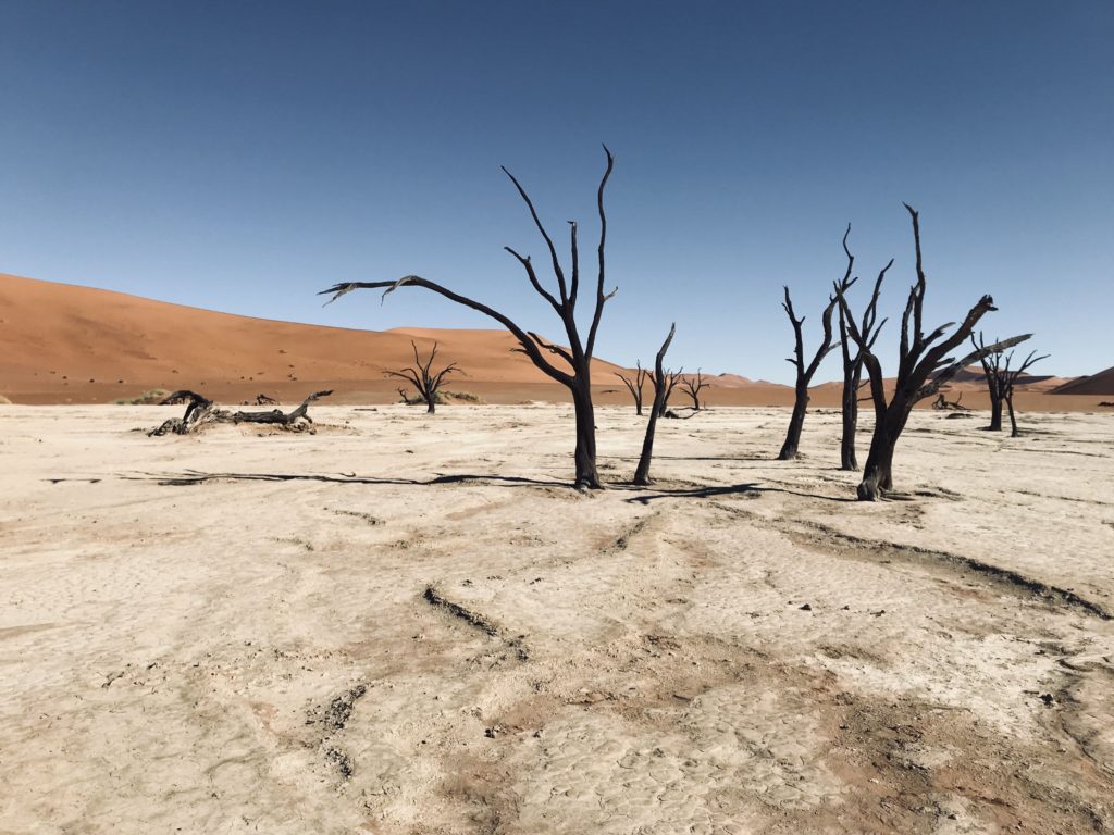 Deadvlei Sossusvlei Namibia