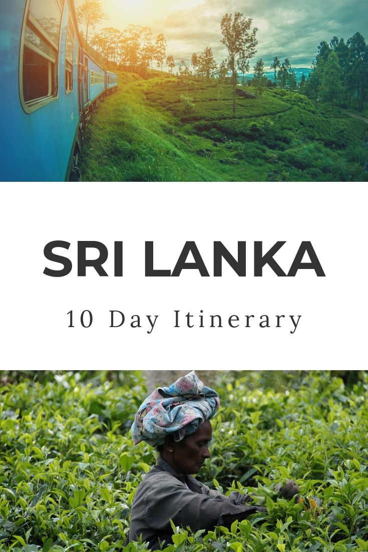 Sri Lanka Travel Guide | Sri Lanka is a beautiful and diverse country filled with culture, beaches and nature. Take some Sri Lanka hikes, visit the Sri Lanka tea plantations and have some down time at the Sri Lanka beaches #srilankatravel #srilankabeach #travelguide