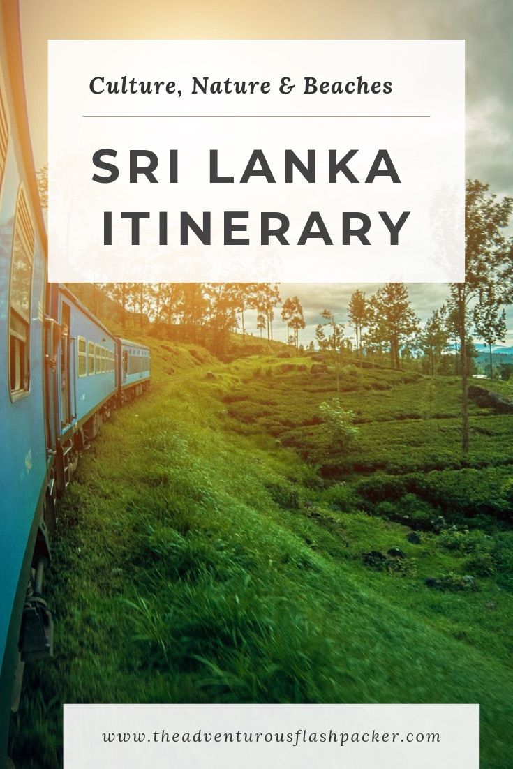 Sri Lanka Travel Itinerary | Discover the best Sri Lanka travel places to visit from the Sri Lanka Cultural Triangle to Kandy and Ella. Includes Sri Lanka travel tips to make the most of your Sri Lanka trip! Read this Sri Lanka itinerary 10 days today #srilanka #srilankaguide #traveltips
