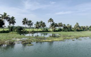 Kerala itinerary 5 days - houseboat cruise views