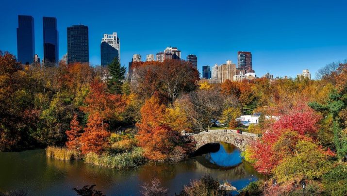 Central Park New York